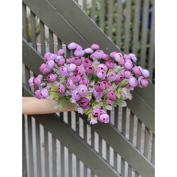 Bụi hoa trà gấm đủ màu