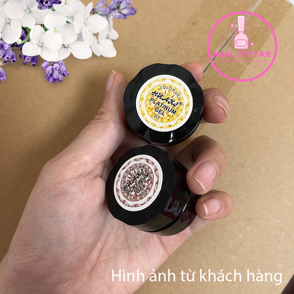Gel nhũ Huaxi Platinum chính hãng - Gel nhũ nail vẽ móng chuyên dụng  NAIL R’STAR
