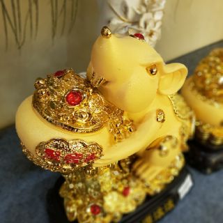 Chuột vàng phong thủy
