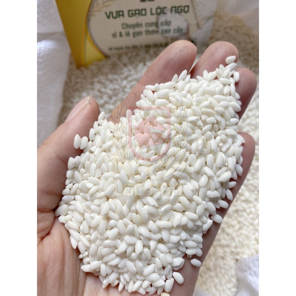 Gạo Nếp Bắc Hữu Cơ Đặc Sản Gia Lai Nấu Xôi Thơm Dẻo Đóng Gói Túi Hút Chân Không 500G