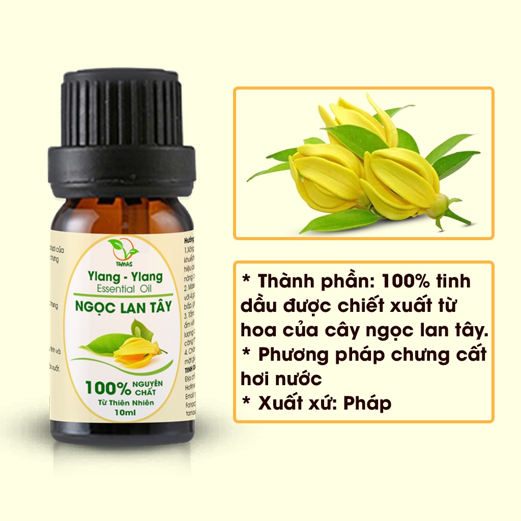 Tinh dầu Ngọc Lan Tây nguyên chất chai 10ml, thơm phòng, khử mùi, thanh lọc không khí.