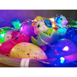 Rổ trứng Hatchimals phát sáng