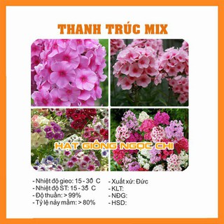 Hạt Giống Hoa Thanh Trúc Mix - 50 Hạt