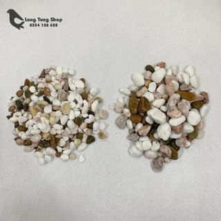 Đá sỏi hỗn hợp ( chọn size )