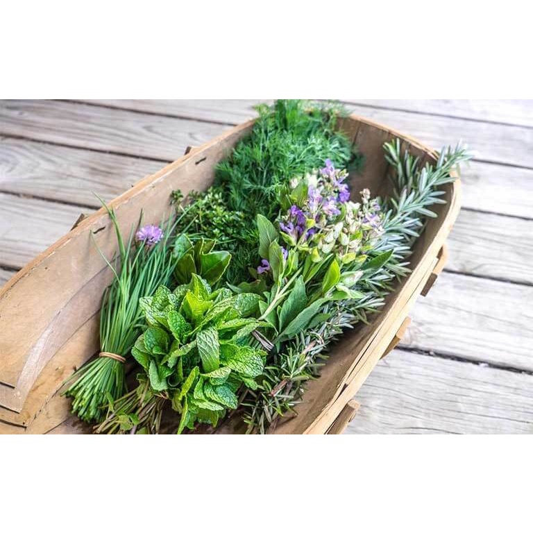 Phân hữu cơ RR Rapid Raiser nhập khẩu từ Úc gói 5kg