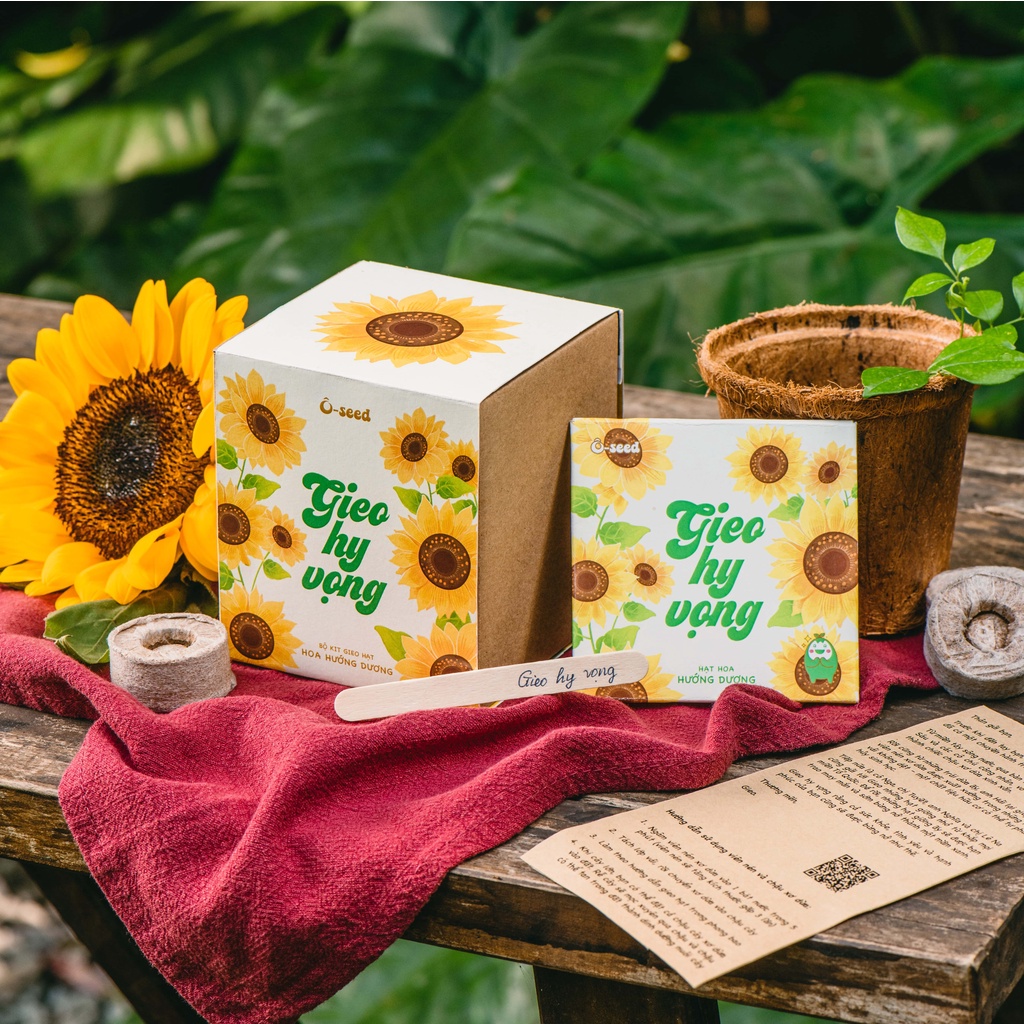 Bộ kit trồng cây gieo hạt - Hạt hoa Hướng dương - Gieo Hy Vọng