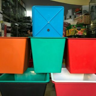 chậu vuông cao 30cm nhiều màu.