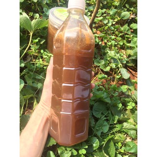 Mật ong hoa cà phê Gia Lai