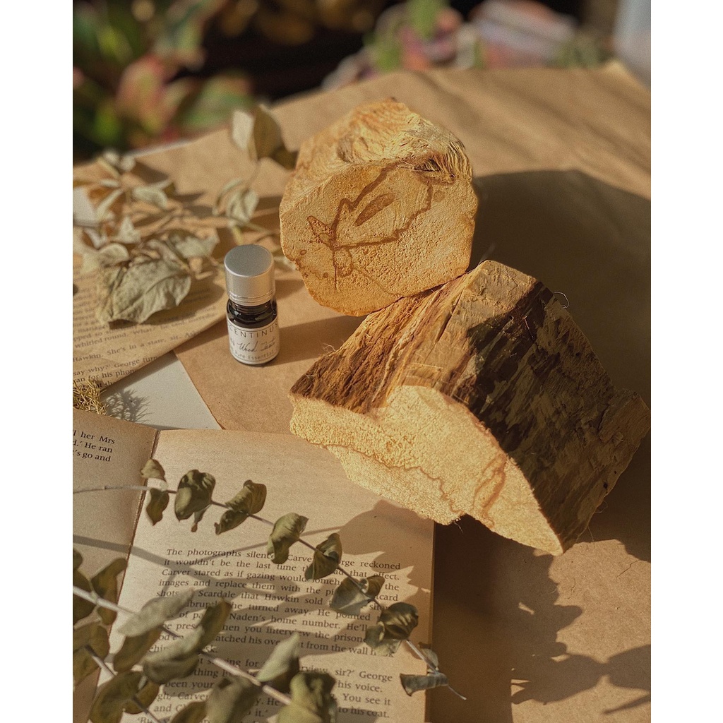 PALO SANTO -GỖ THANH TẨY NĂNG LƯỢNG