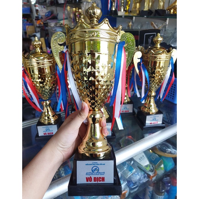 [Free thiết kế - in ấn logo] Cúp lưu niệm thể thao bằng kim loại giá rẻ TL-037