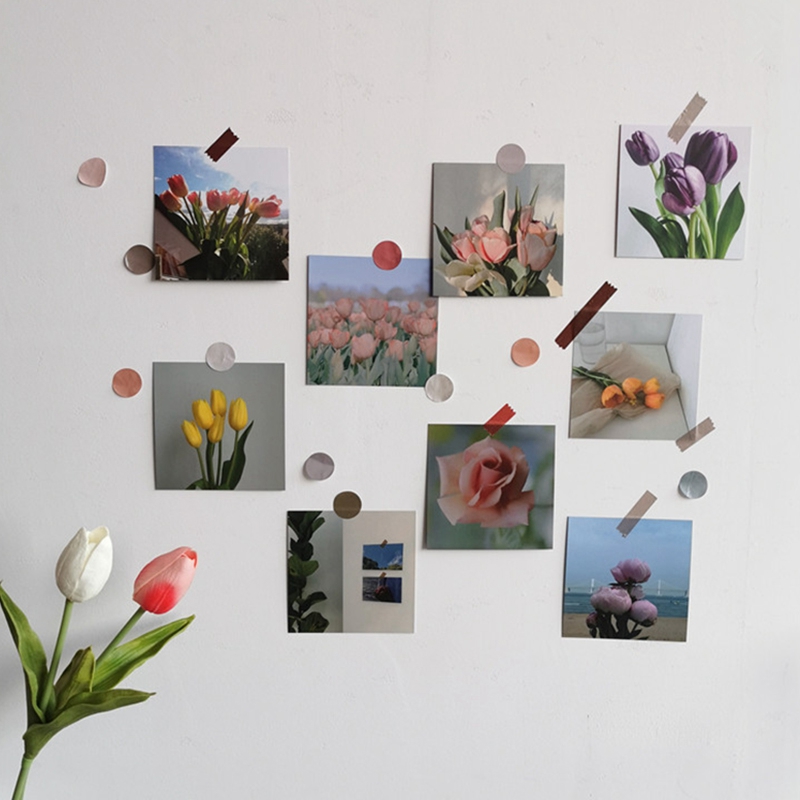 Hoa Tulip Giấy Trang Trí Tường Xinh Xắn