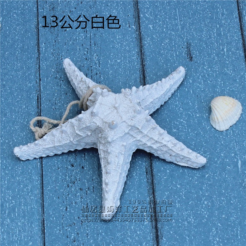 Mô hình sao biển trang trí 13cm thân dày  - Decor đồ trang trí theo phong cách biển Địa Trung Hải