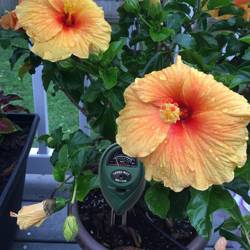 Dụng Cụ Đo Độ PH &amp; Độ Ẩm Đất Trồng Cây 3 Trong 1