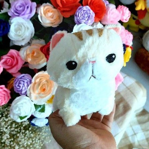 Gấu bông amuse size nhỏ