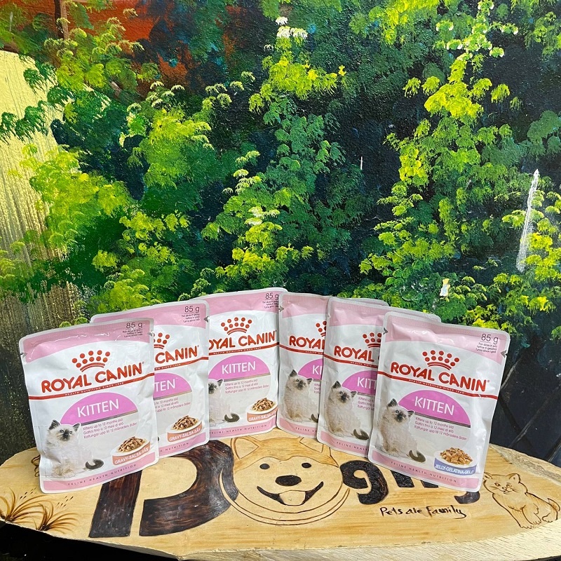Pate cho mèo con Royal Canin Kitten 1 hộp/12 gói