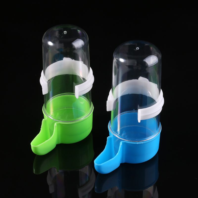 Hộp Đựng Thức Ăn Tự Động Cho Chim Vẹt