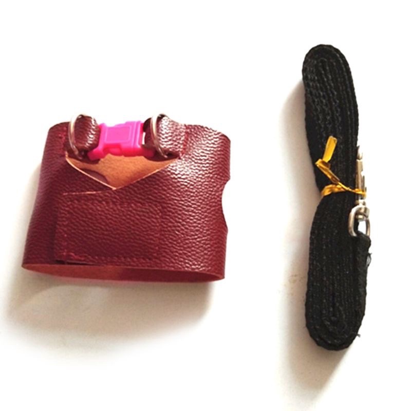 dây dắt dành cho sóc bay sóc đất nhen bông