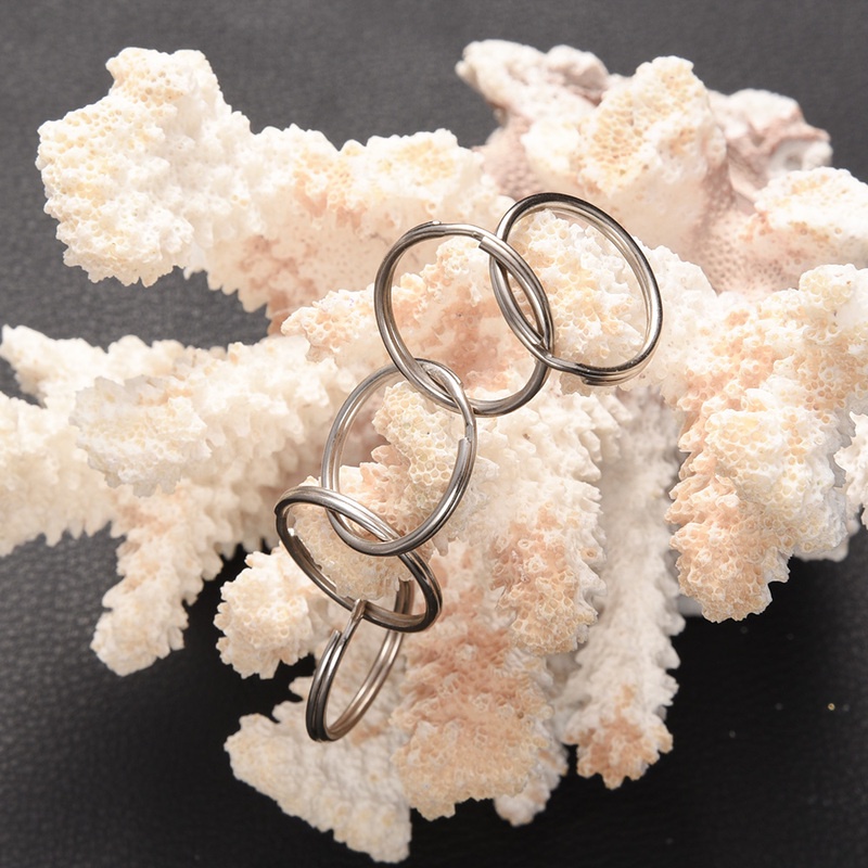 Set 25 Móc Khóa Bằng Thép Không Gỉ 20mm