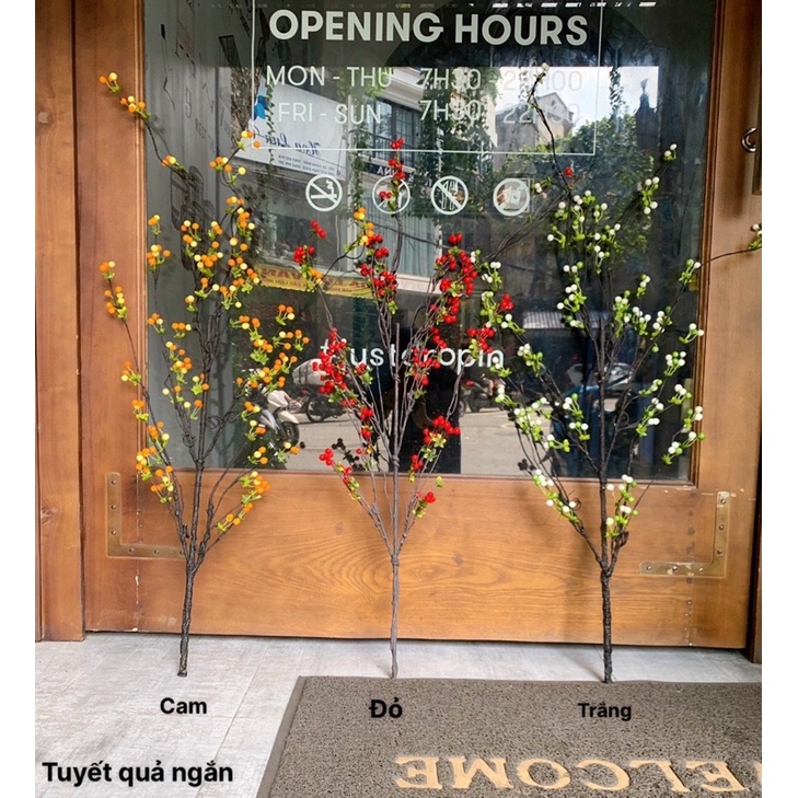 Cành  tuyết quả loại cao cấp,  điểm bình hoa decor, trang trí