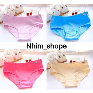combo 3 quần lót cotton nữ co giãn