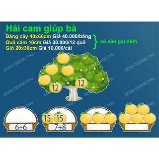 Hái cam giúp bà