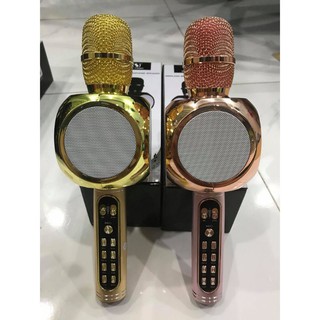 Loa hát karaoke YS 90