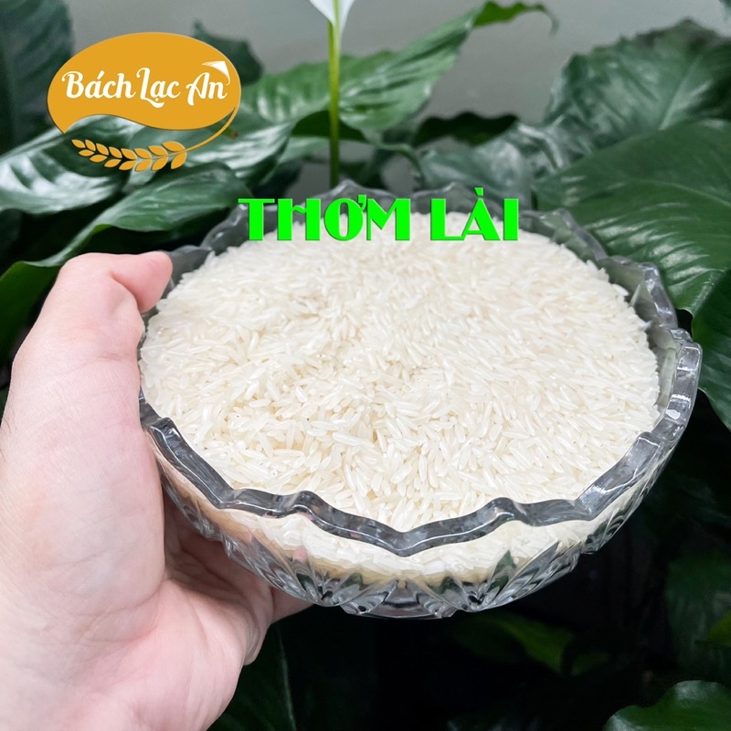 Gạo Thơm Lài - Ép chân không 2Kg