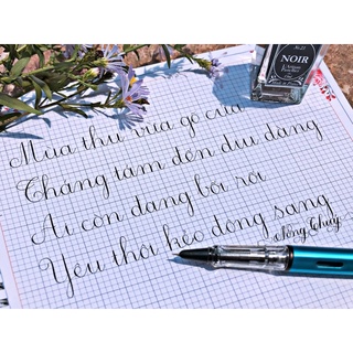 Mực Pháp Classique