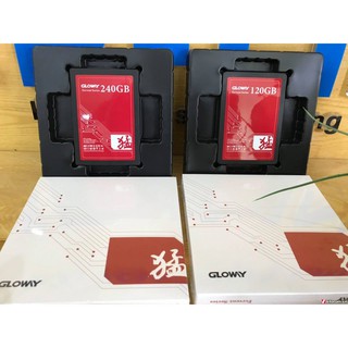 [COMBO] Ổ cứng SSD 120GB Gloway + Caddy bay !!!