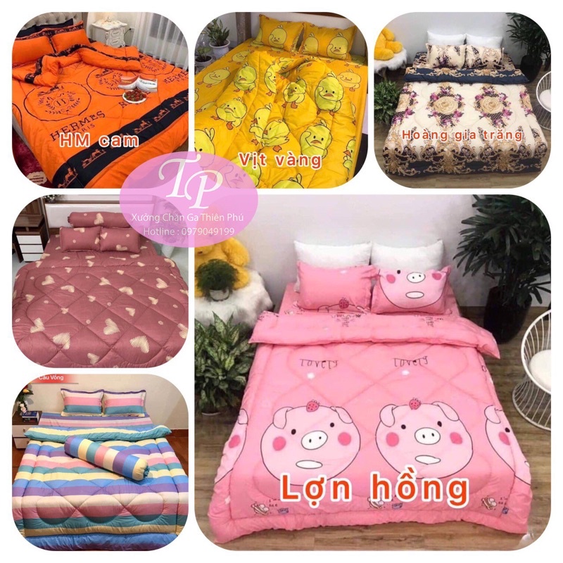 Chăn Phao Trần Bông Cotton Poly Dầy Dặn Nặng 2kg