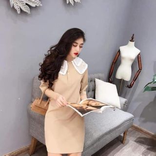 Combo váy suông cổ ren