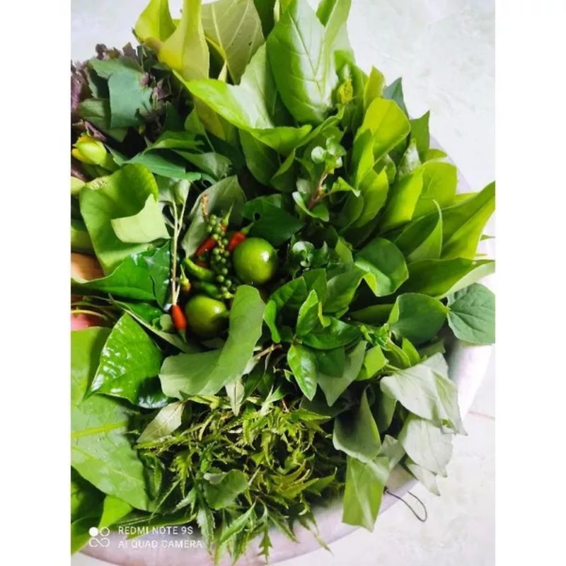 COMBO CÁC LOẠI RAU RỪNG . ăn bánh xèo.bánh khọt.500g/28k