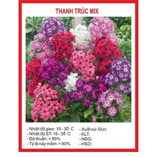 Hạt giống Hoa thanh trúc Mix – 50Hạt