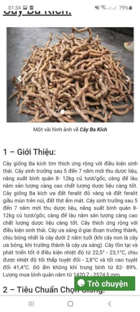 Com bo 10 cây ba kích tím