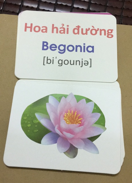 Flash card cho bé - thẻ học thông minh cho bé - chủ đề hoa ( BIBO )