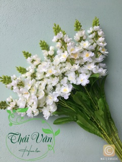 Hoa giả hoa lụa- Cành Hoa Phi Yến 90cm đủ màu ❤️