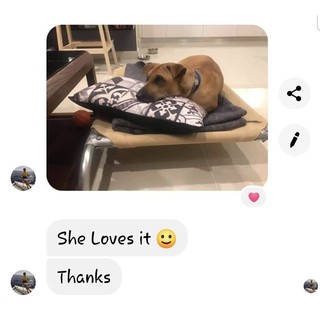 ❤️ GIƯỜNG CHÓ YÊU ❤️ SIÊU BỀN, Dễ vệ sinh & Thay Lưới được (Size M)