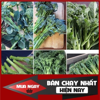 [ Big Sale ] Hạt giống súp lơ baby xanh Nhật bản