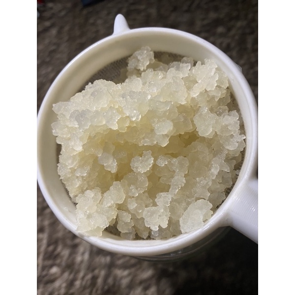 [Tiết Kiệm 40% cho Gia Đình] 50gram Men(nấm)nước Water Kefir