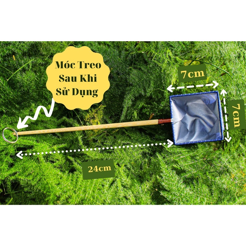 Vợt Cá Betta Guppy