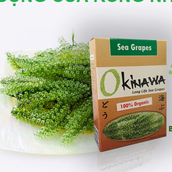 Rong nho okinawa