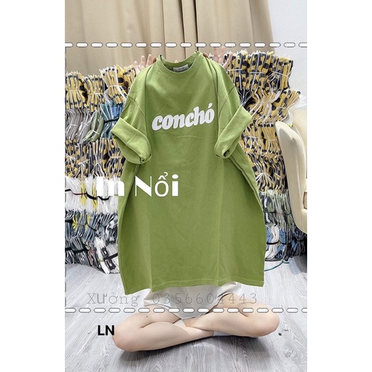 Áo phông chữ concho DA6
