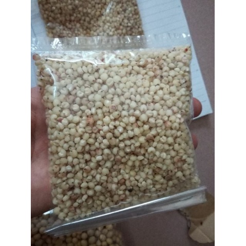 COMBO 2kg HẠT Ý DĨ NẾP / HẠT BO BO NẾP - hạt sạch to mẩy nấu cháo làm ngũ cốc