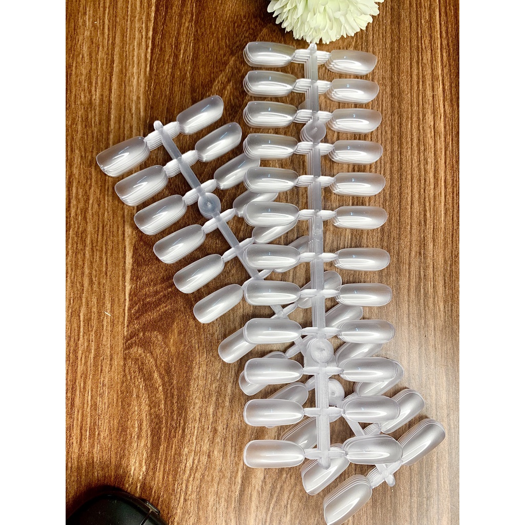 Móng mẫu vỉ phom tròn học nail chuyên dụng