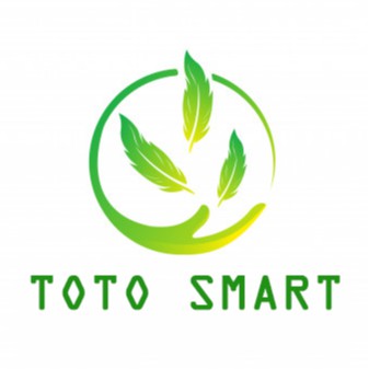 Toto Smart