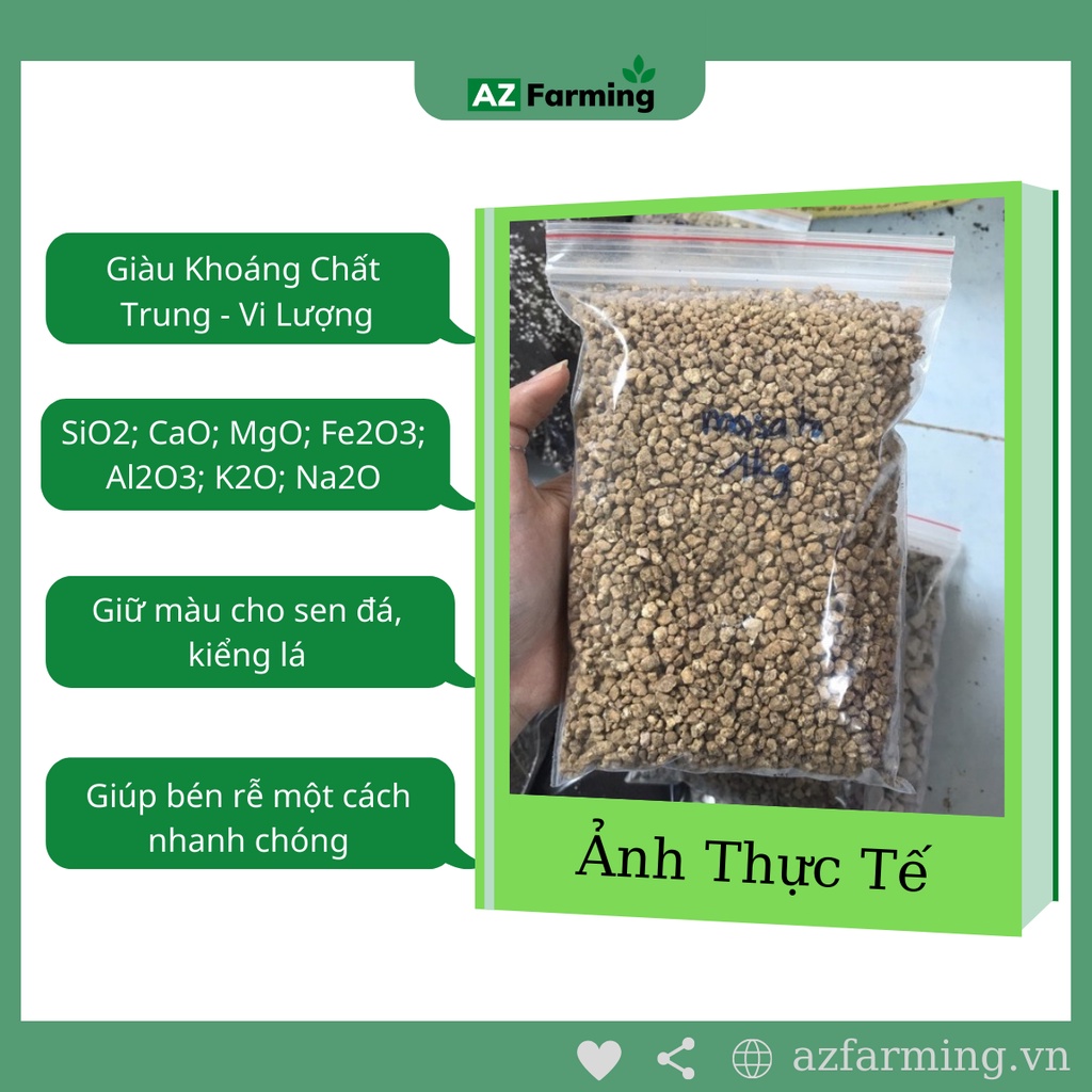 Đá Masato trồng sen đá nhập khẩu - gói 1kg - AZ Farming