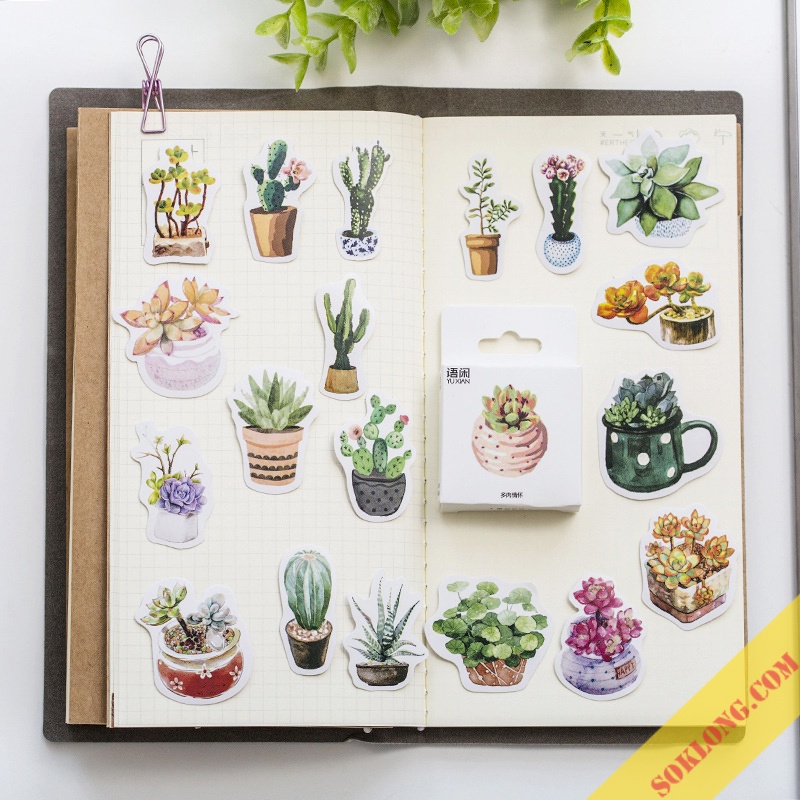Sticker Hoa đá, cây xương rồng 50 miếng STI51 hộp nhãn dán trang trí bullet journal, thiệp handamde