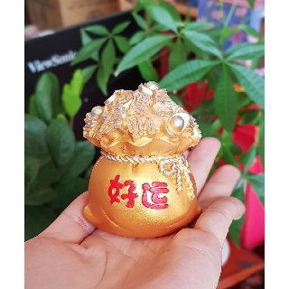 Chậu vàng May Mắn đa phúc 7cm