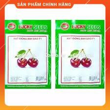HẠT GIỐNG CHERY ĐỎ GÓI 10 HẠT.