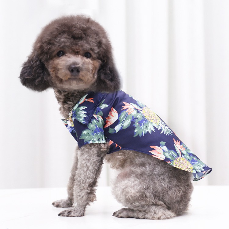Áo hawaii HiPiDog thời trang cho thú cưng